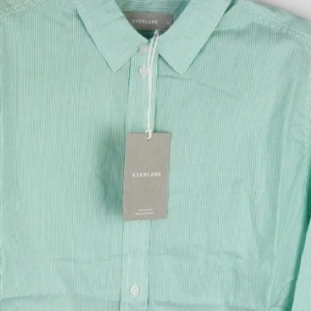 NWT Everlane The Silky Cotton Relaxed Shirt Mint Pinstripe size 2
